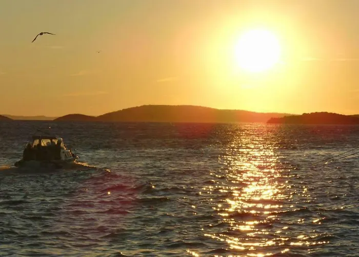 Sekler Ante Tribunj * Tribalj